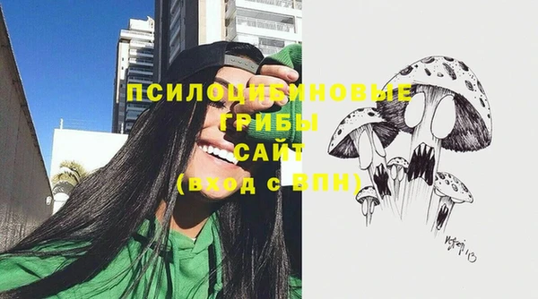 эйфоретик Аркадак