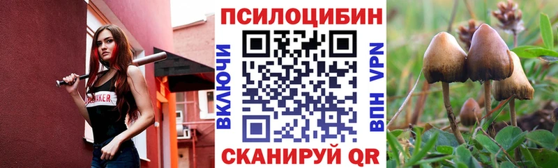 Галлюциногенные грибы Psilocybine cubensis наркота Усолье